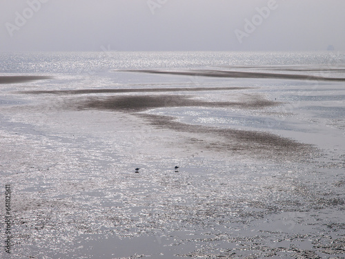 Glistening Tides: Tranquility at the North Sea