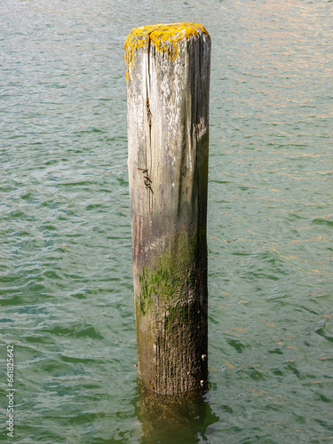 Weathered Wooden Mooring Post in Rippling Water