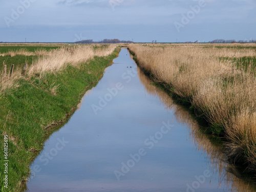 Tranquil Waterway: Reflective Canal Flanked by Tall Reeds and Lush Greenery