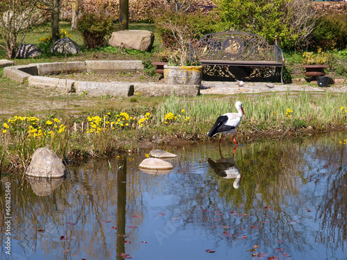 Garden Serenity: Stork by the Pond