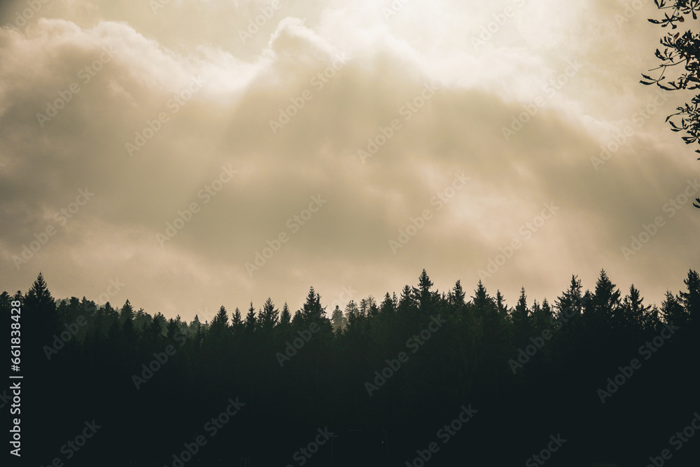 Obraz premium View of forest and sky. Gorski kotar, Croatia