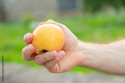 Man's hand holds an apple, snack and fast food concept. Selective focus on hands with blurred background