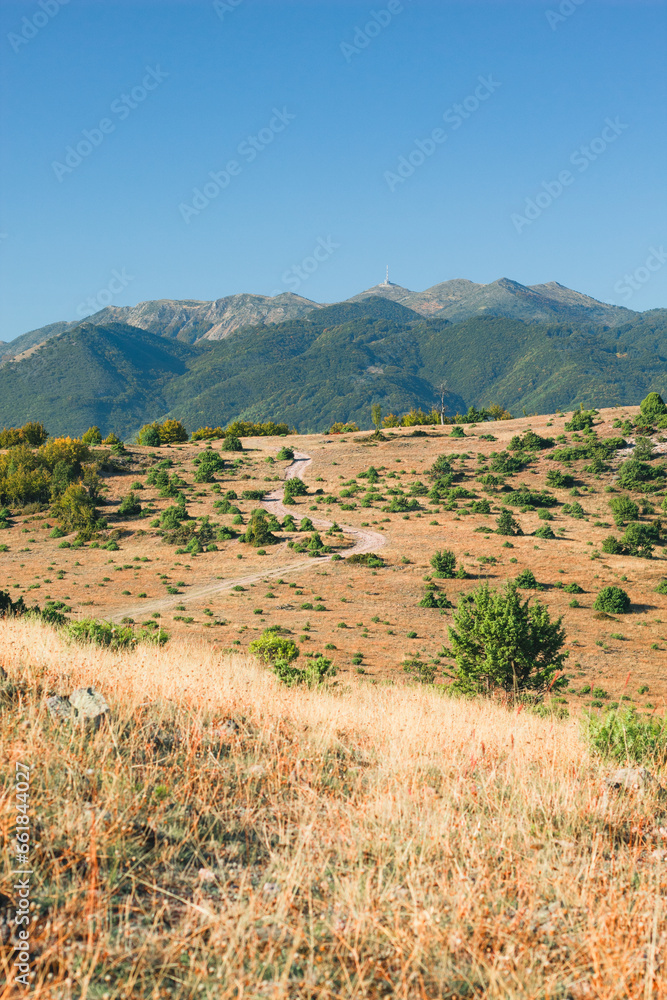 Bright sunny day with beautiful view of a giant mountain in the background with vibrant golden grass.