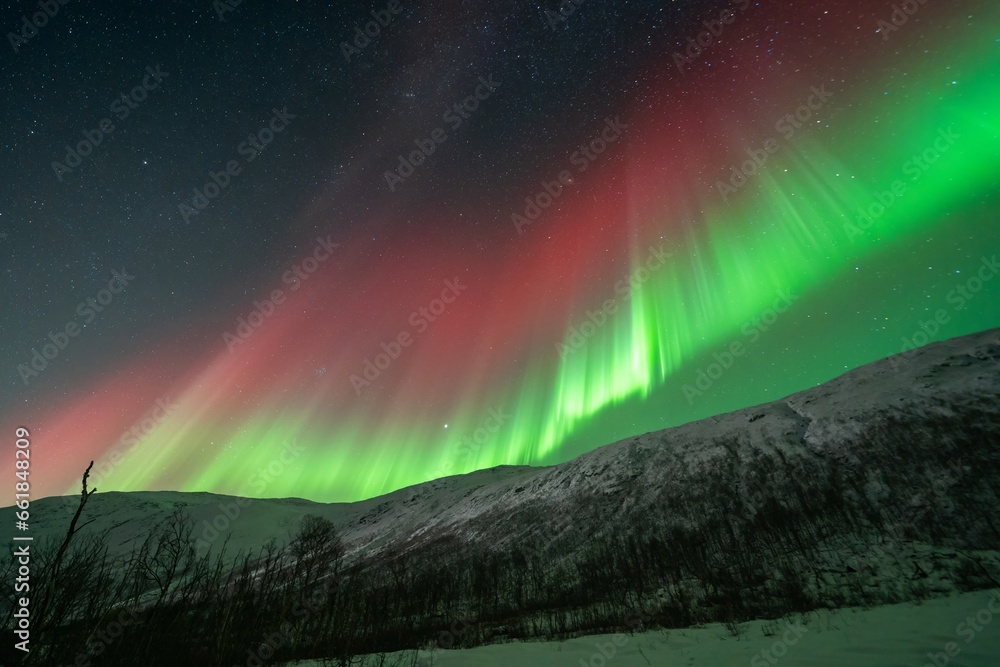 Rare red northern lights, Red Aurora Borealis. High quality photo