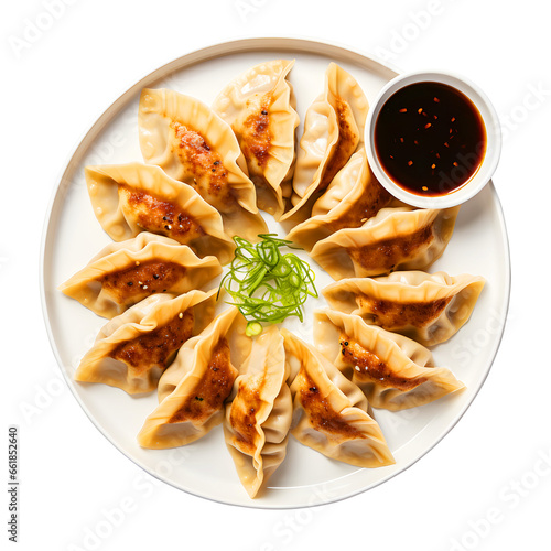 Tasty asian food, deep fried gyoza dumplings, Japanese dumplings Gyoza with chicken and vegetables. top view photo