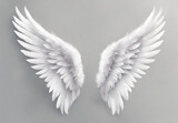 angel wings isolated, angel wings isolated on black, silver angel wings