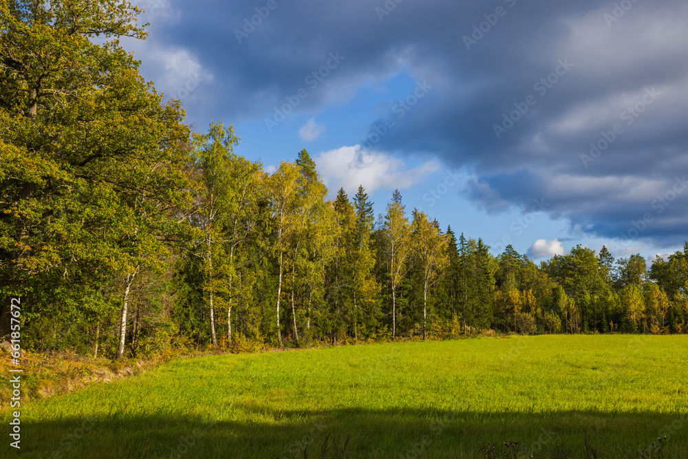Beautiful view of autumn forest and green field on background of blue sky with clouds. Sweden.