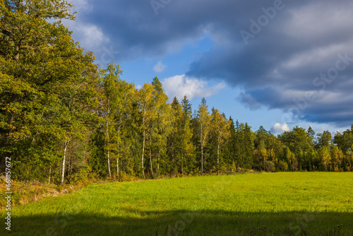 Beautiful view of autumn forest and green field on background of blue sky with clouds. Sweden. © Alex