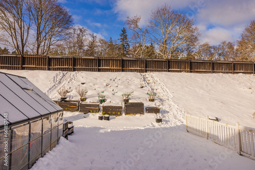 Wallpaper Mural Gorgeous winter view of small garden and greenhouse. Gardening concept. Sweden. Torontodigital.ca