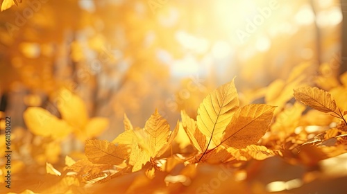 Beautiful autumn landscape with yellow falling leaves.