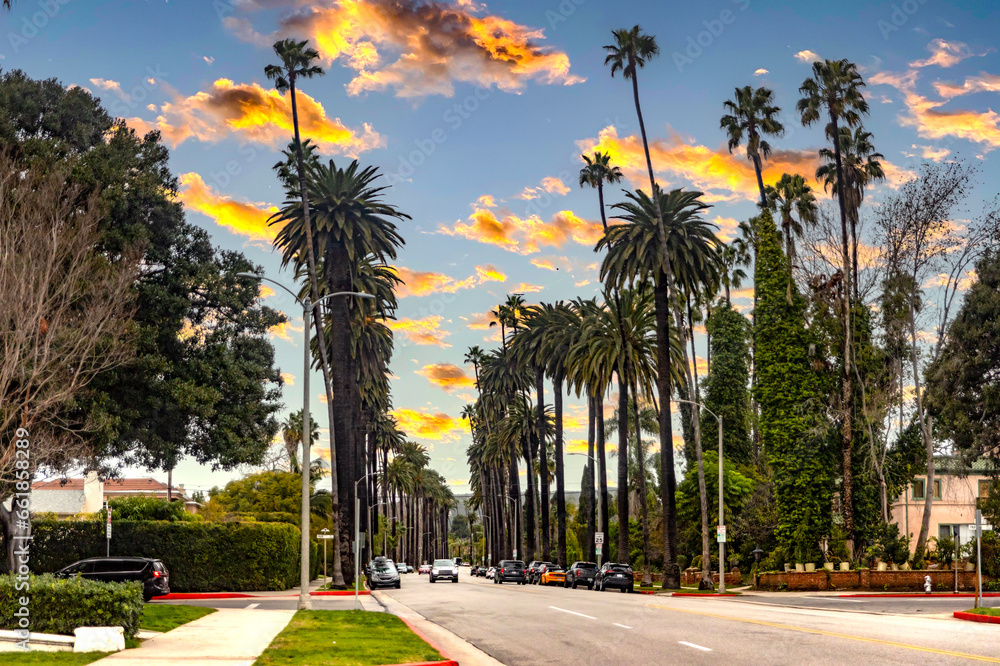 The famous avenue of palm trees, with very tall palm trees in Beverly Hills in Los Angeles, in the state of California in the United States of America.