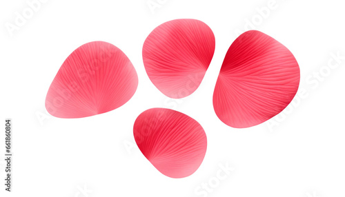 pink flower petals isolated on transparent background cutout