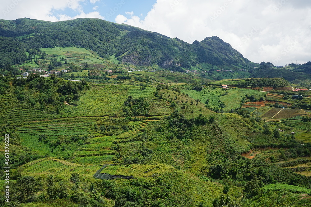 Amazing Rice Paddy or Rice Field in hidden Mountain, Sapa, Vietnam - ベトナム サパ 棚田