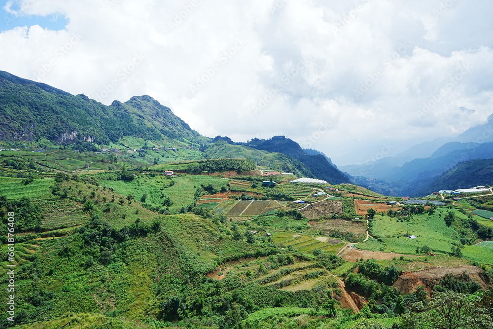 Fototapeta premium Amazing Rice Paddy or Rice Field in hidden Mountain, Sapa, Vietnam - ベトナム サパ 棚田