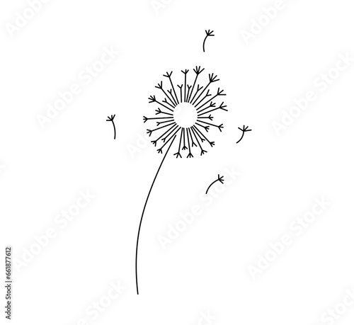 Vector isolated one single dandelion blowball with flying seeds colorless black and white contour line easy drawing