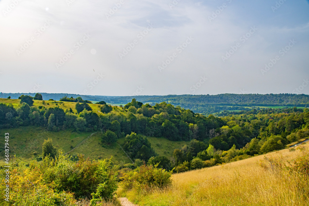 Fototapeta premium landscape in the mountains