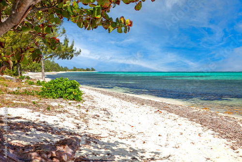 Landscape Beach Scene in the Cayman Islands
