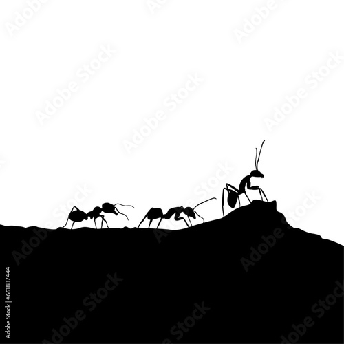 ant colony silhouette illustration