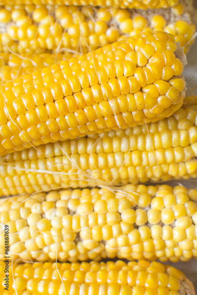 close-up view of peeled cob of corn on a table, close-up view of whole corn on a countertop, fresh organic sweet corn on table close-up view of peeled cob of corn on a table, close-up view of whole corn on a countertop, fresh organic sweet corn on table