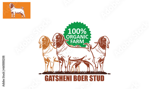 ORGANIC FARM  GATSHENI BREEDER LOGO  silhouette of great and big ram standing vector illustrations. this image can used as t-shirt printing or poster icon etc.