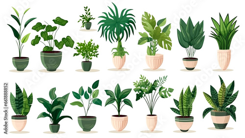 Discover a variety of home greenery with our houseplant collection, featuring unique plant forms and greenery selections to enhance your interior decor.