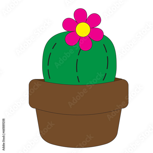 plant in pot