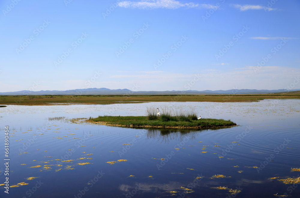 Fototapeta premium Lake landscape in the Mongolian steppe
