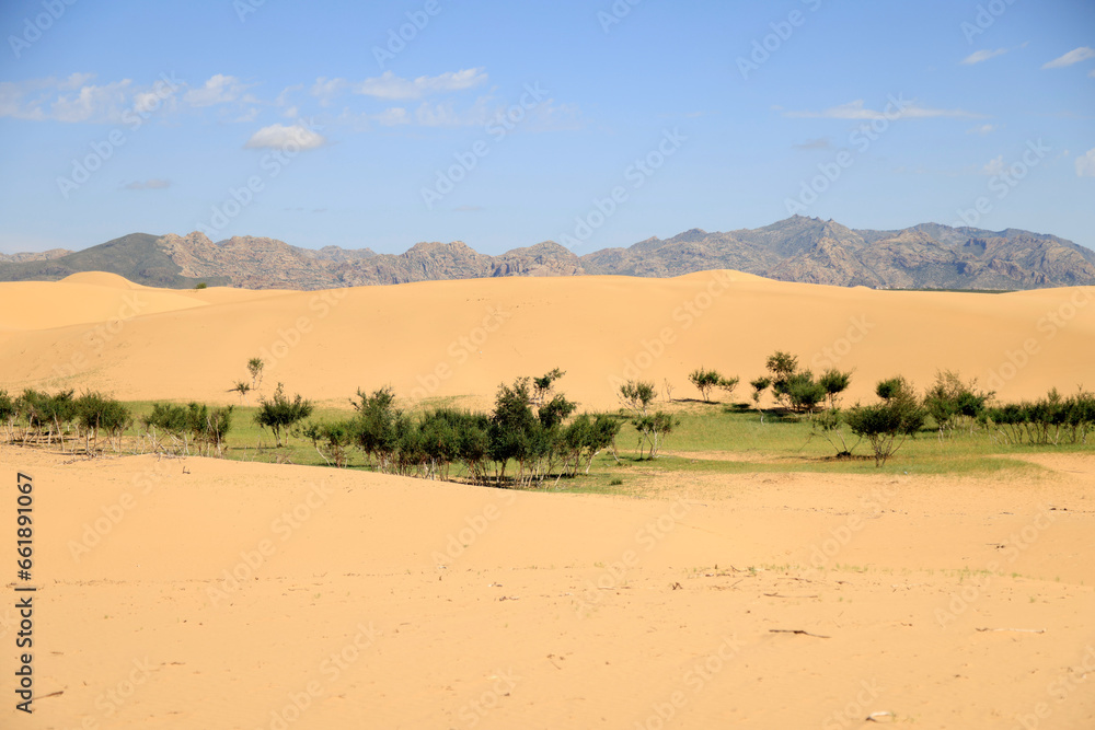 The beautiful dunes of the Elsen Tasarkhai desert, Mongolia The beautiful dunes of the Elsen Tasarkhai desert, Mongolia