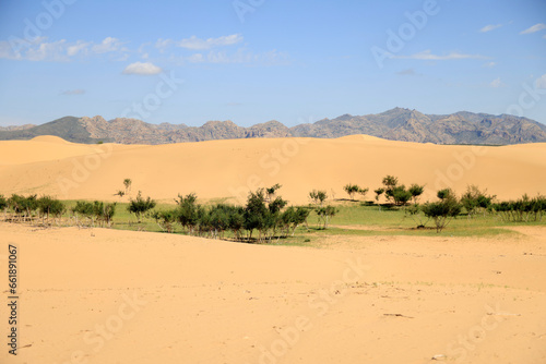 The beautiful dunes of the Elsen Tasarkhai desert, Mongolia