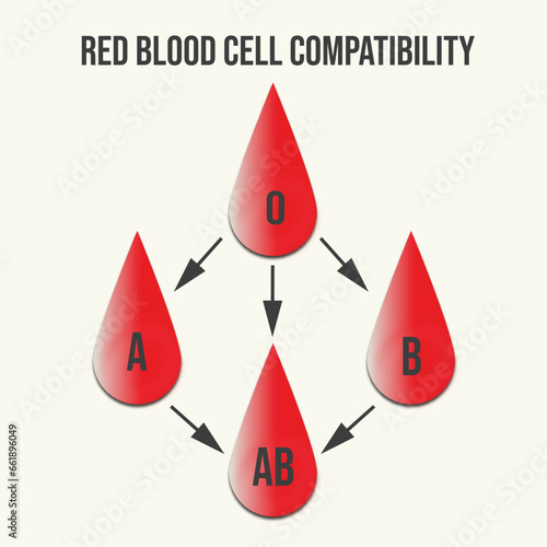 Red blood cell transfusion Blood transfusion Donor day
