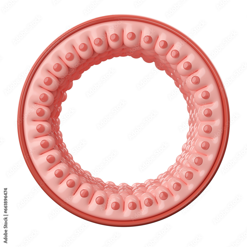 breast cancer, Ductal carcinoma in situ, normal cells in milk ducts, 3D rendering. breast cancer, Ductal carcinoma in situ, normal cells in milk ducts, 3D rendering.