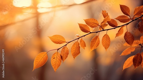 Autumn colorful bright leaves on branch tree blur background. AI generated image