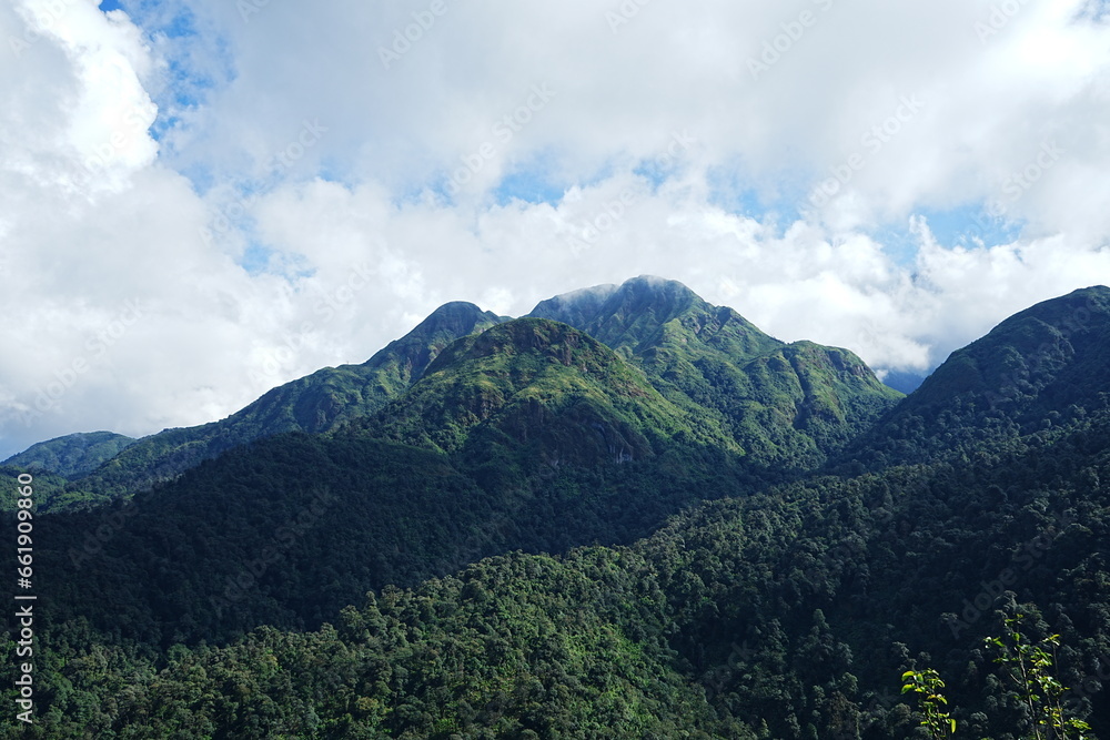 mountain path in Sapa, Vietnam - ベトナム サパ 山道