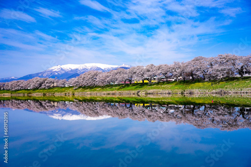 Beautiful cherry blossom scenery in Japan photo