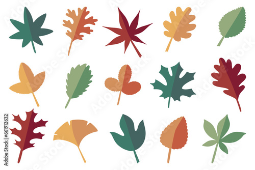 Autumn leaves. Yellow red and green leaf  fall deciduous season  bright flora icons  foliage of maple oak and chestnut. Vector cartoon flat style isolated illustration floral and botanical set