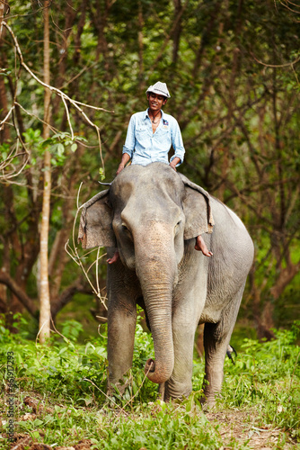 Travel, portrait and man with elephant in forest for wildlife, conservation and animal rescue. Sanctuary, tropical and person in environment, natural ecosystem and outdoors in Thailand for tourism