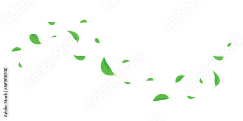 green leaves flying on wind illustration