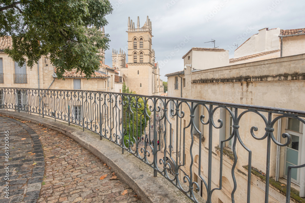 Obraz premium Cathédrale Saint Pierre à Montpellier. Centre historique de l'écusson de Montpellier, Occitanie, France. 