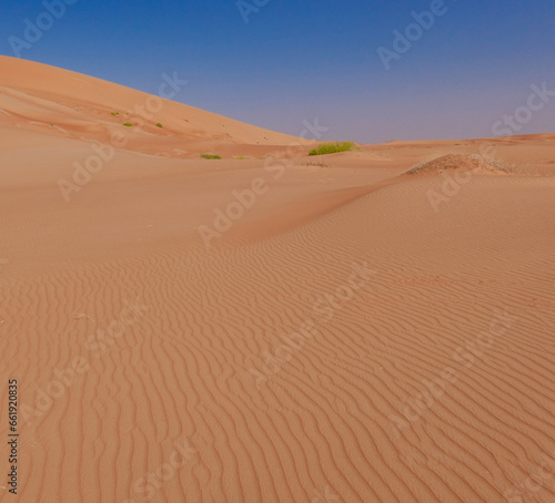 Expanse of vertically undulating red sand of the Rub al Khali Desert. Oman