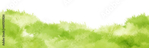 Watercolor Grass © b.illustrations
