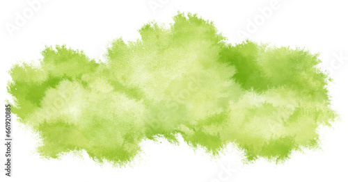 Watercolor Bush