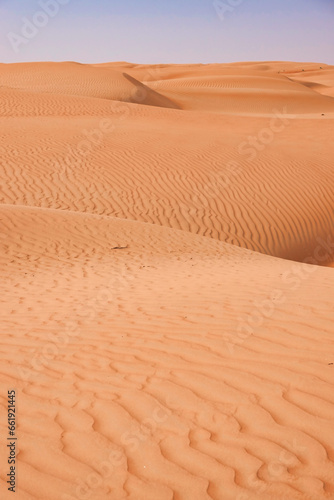 Undulating lines of sand cross the horizon sinuous sand dunes between light and shadow. Oman.