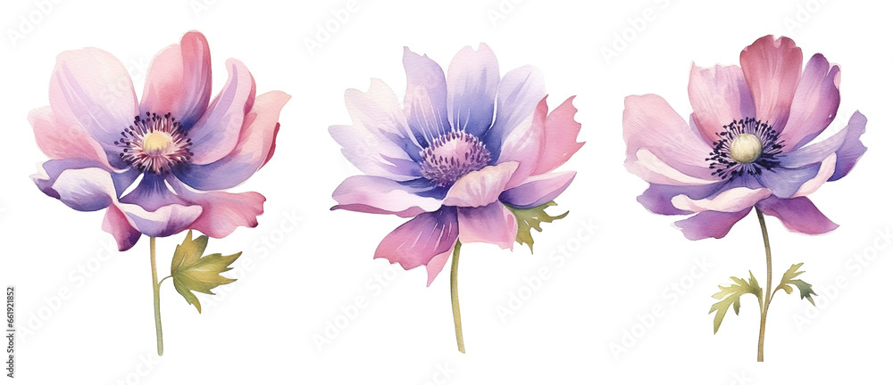 watercolor flowers, a set of illustrations in handmade watercolor style on a white background, generative ai watercolor flowers, a set of illustrations in handmade watercolor style on a white background, generative ai
