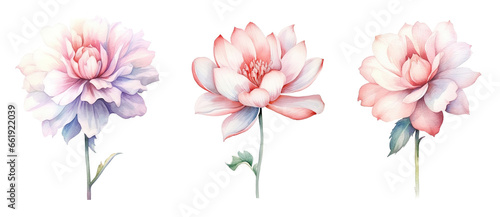 watercolor flowers  a set of illustrations in handmade watercolor style on a white background  generative ai