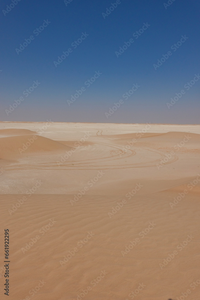 Panorama of a limestone expanse in the Rub Al Khali desert with tyre tracks. Oman.