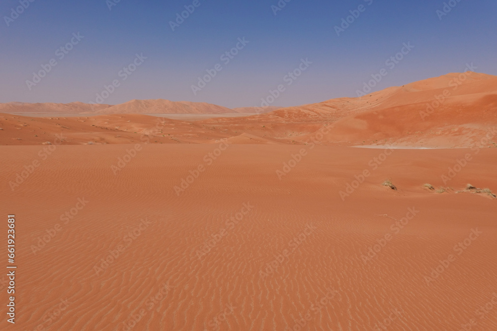 Panoramic view of the Rub Al Khali desert with red colour and blue sky. Oman. Panoramic view of the Rub Al Khali desert with red colour and blue sky. Oman.