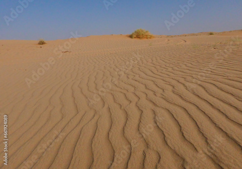 Macro of the golden desert sand with vertical wavy lines.