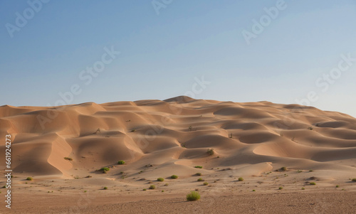 Large golden dune in the Rub Al Khali desert with undulating sand lines against a backdrop of blue sky. Oman photo