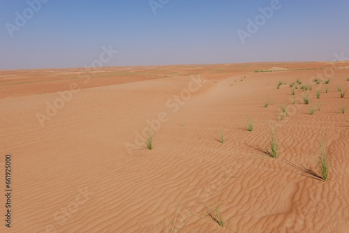 Horizon of the Wahiba sand desert with its orange colours and small green grass bushes and blue sky.