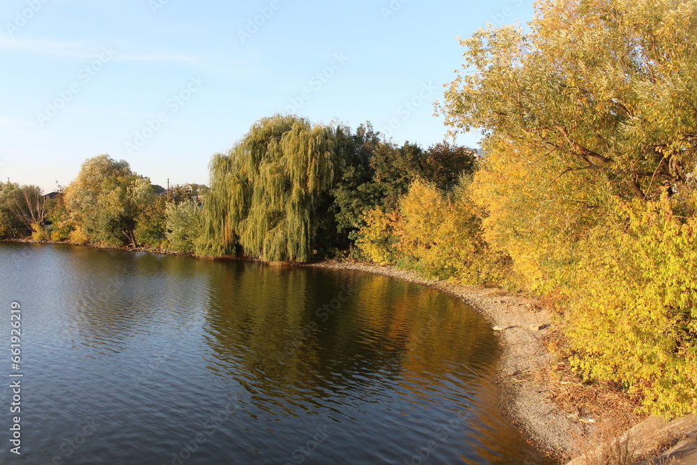 A body of water with trees and a blue sky A body of water with trees and a blue sky
